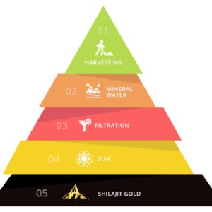 CLEARANCE SALE 10g Solid Shilajit Gold® India